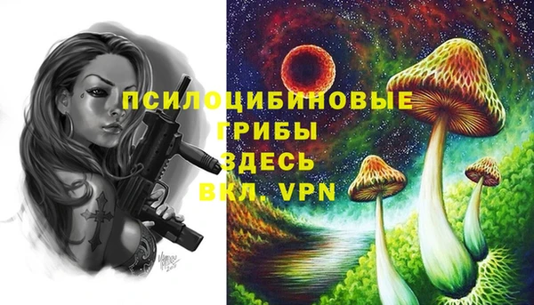 мяу мяу кристалл Алексин