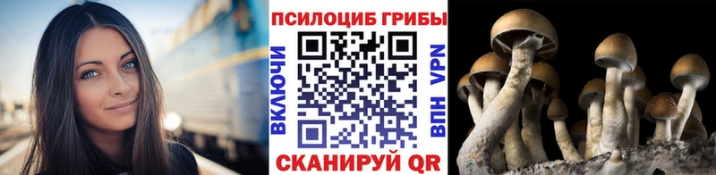 это как зайти  Брюховецкая  Псилоцибиновые грибы MAGIC MUSHROOMS  blacksprut маркетплейс 